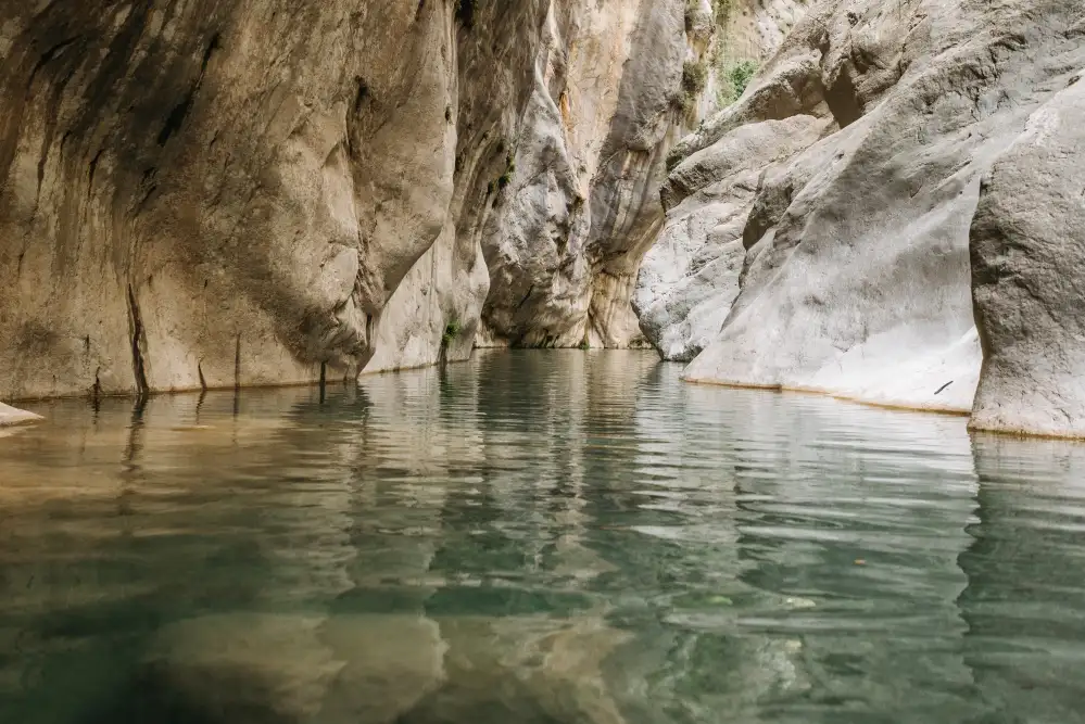 Make Ahead Turkey Gravy