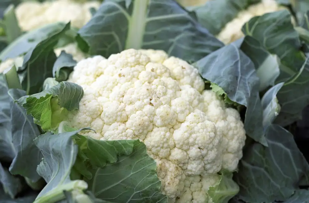 How To Rice Cauliflower