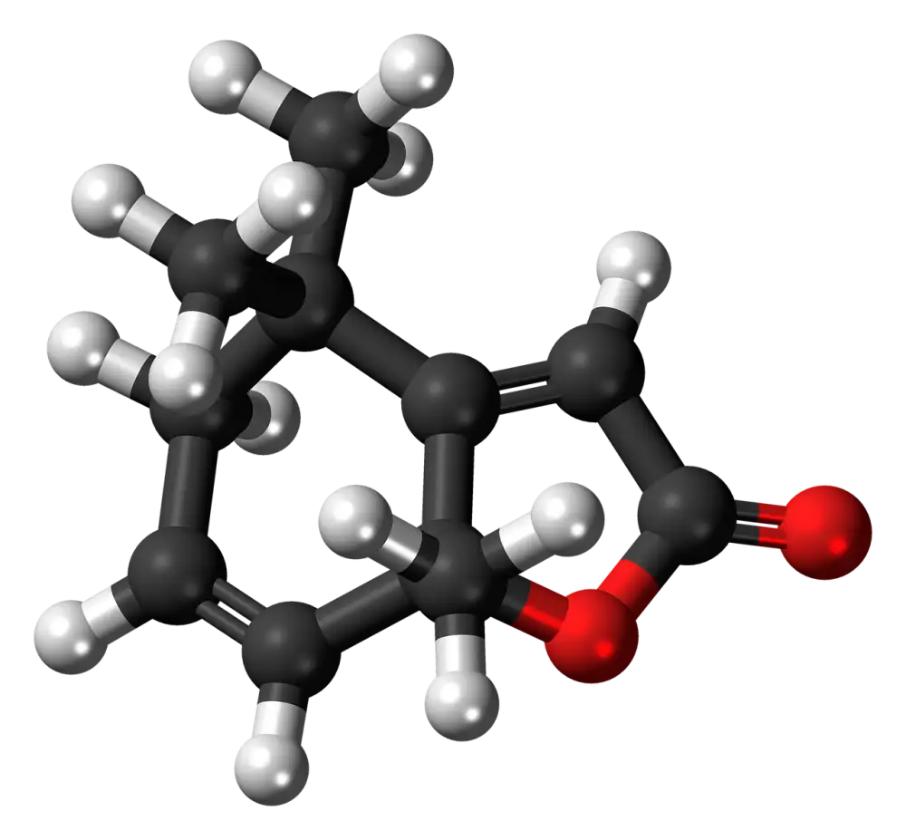 Best Pheromones For Women