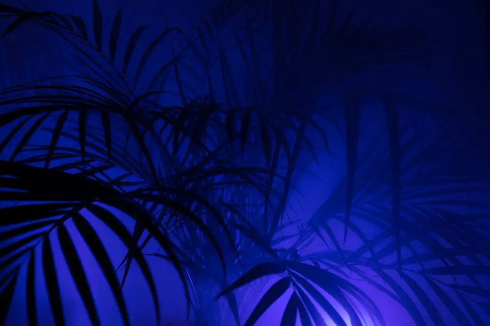 Reed Diffuser For Men