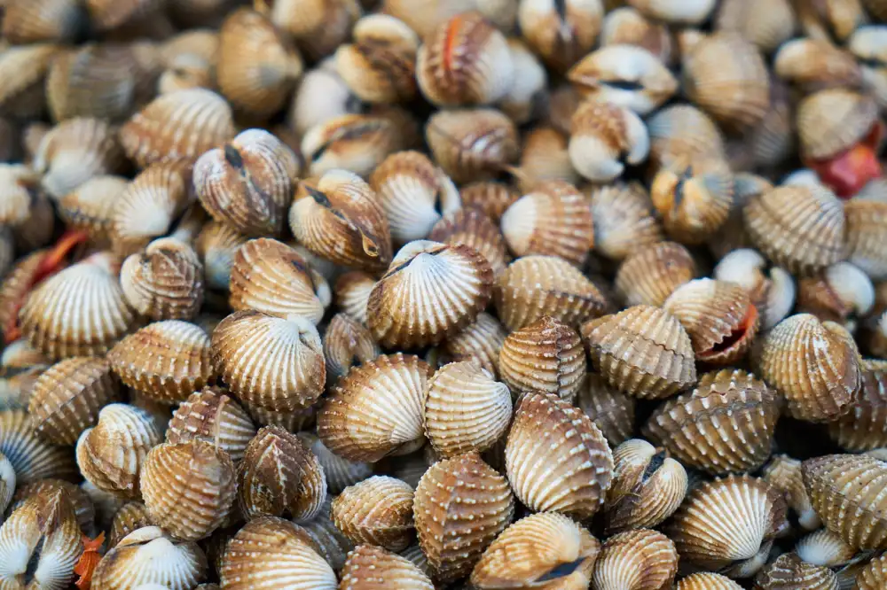 Colostrum For Psoriasis