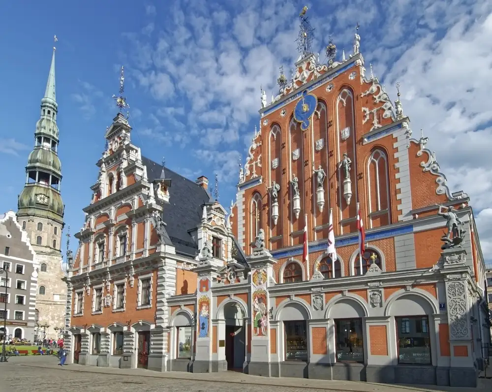 Dr Pimple Popper Blackheads In Ears