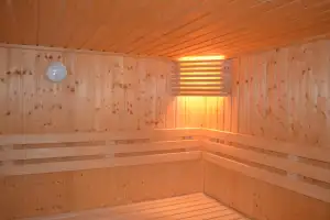 Vital Saunas Review