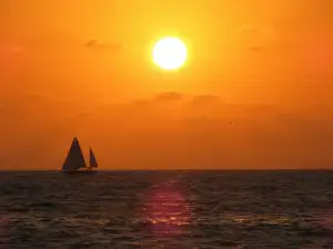 Just Smiles Puerto Vallarta