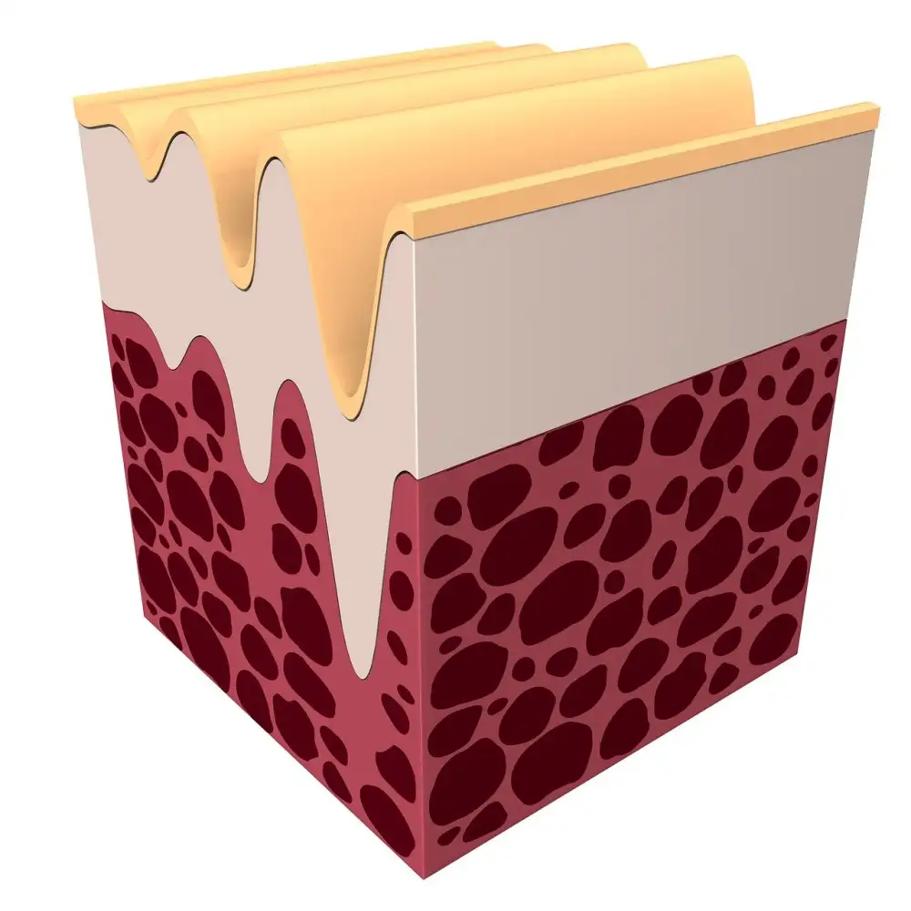 Best Collagen Supplements